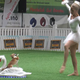 Joya the chihuahua performs ballet while human friend Karin Baumann tries in vain to mirror her graceful movements.